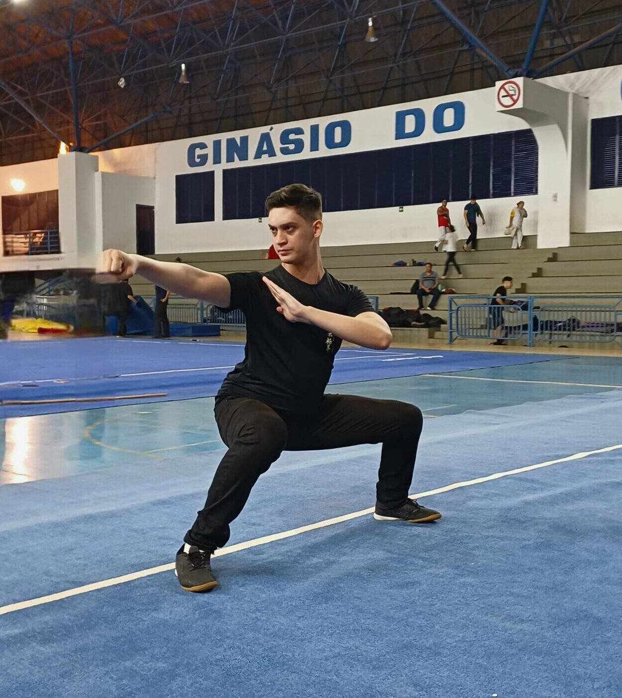 apresentação de kung fu